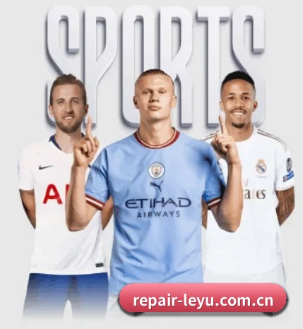 五大服务分区,信息按项目分类 - leyu
